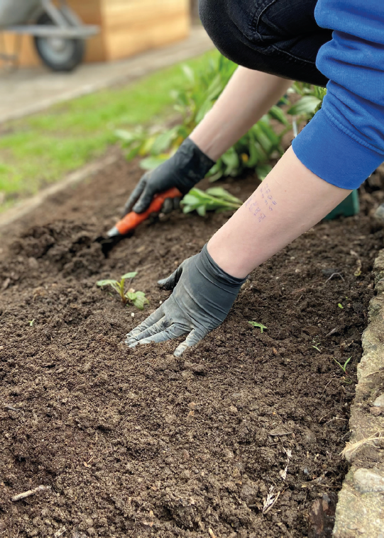 Gartenarbeit