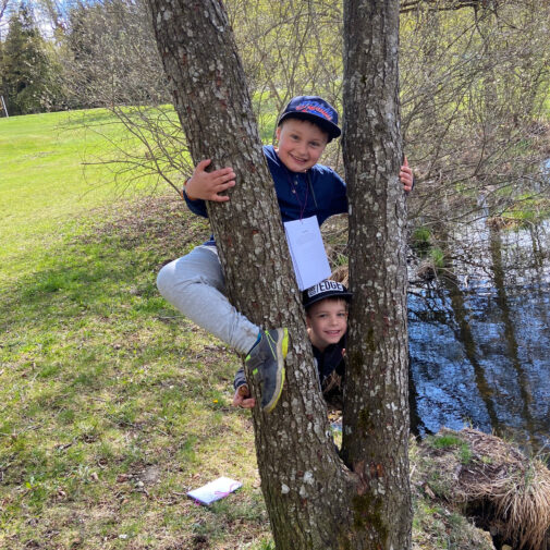 Kinder klettern auf Baum