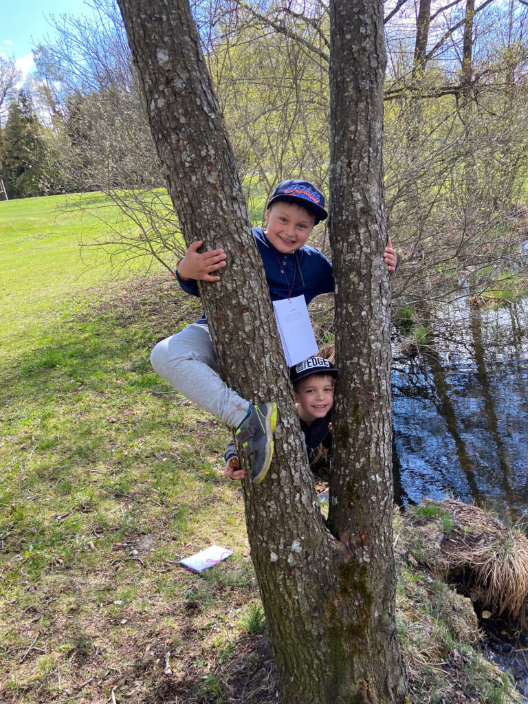 Kinder klettern auf Baum